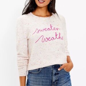 LOFT Sweater Weather Sweater